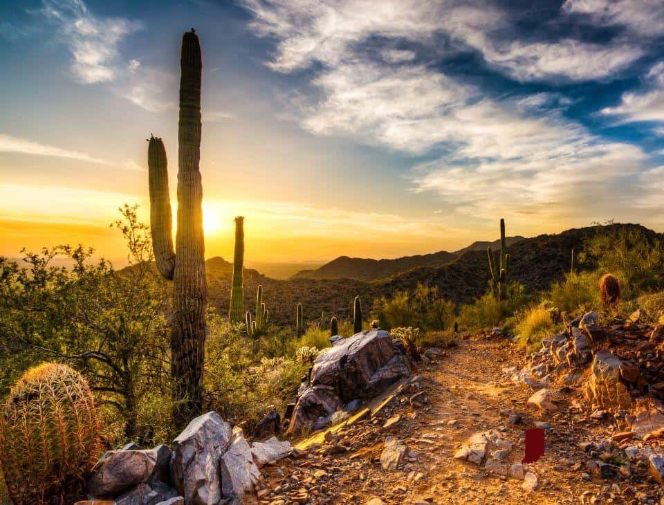 Arizona Insurance Agency