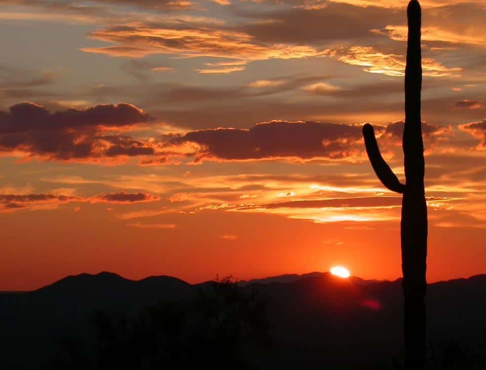 Best Independent Insurance Broker in Arizona