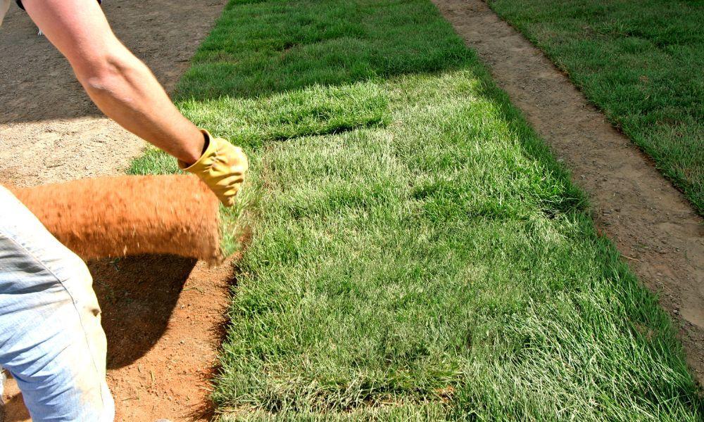 Best Lawn Care Insurance in Georgia