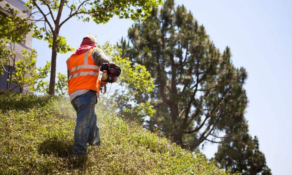 Cheap Lawn Care Insurance in Georgia by The Allen Thomas Group