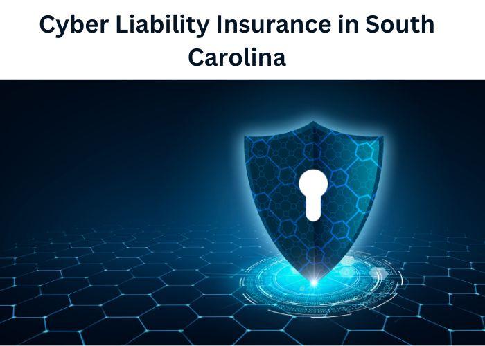 Cyber Liability Insurance Coverage in South Carolina