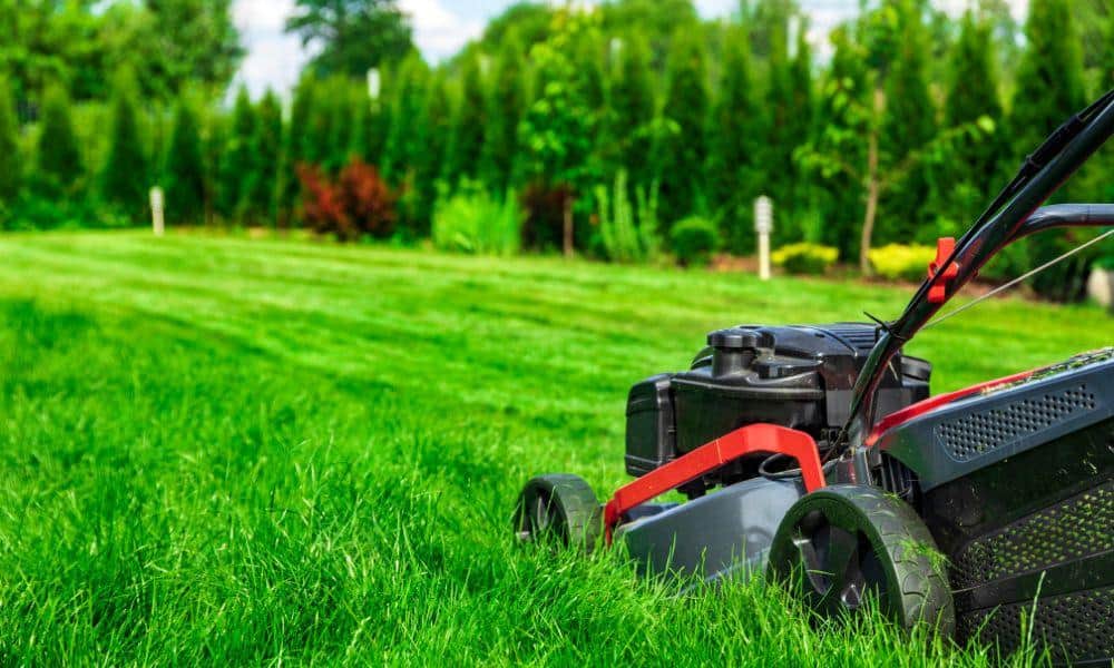 Insurance for North Carolina Landscapers