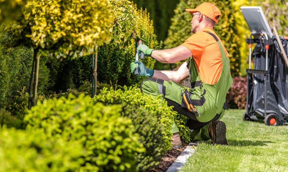 Landscaping Business Insurance Connecticut
