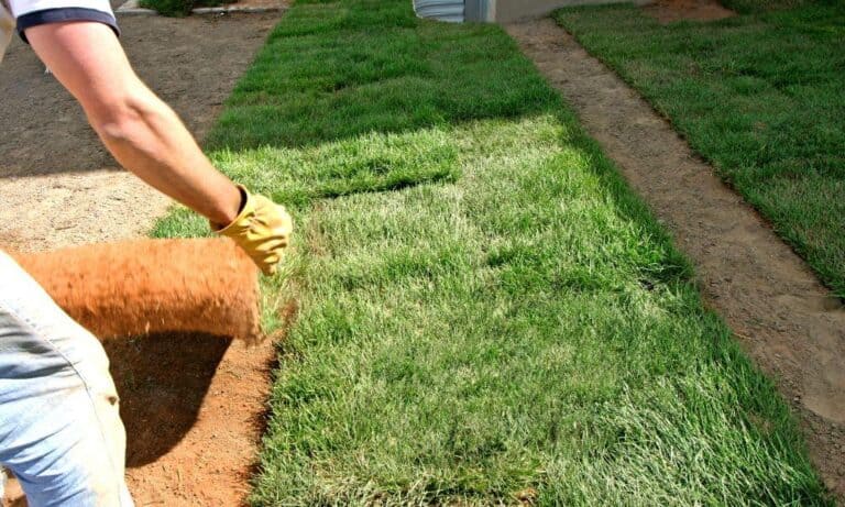 Landscaping Insurance in New York State