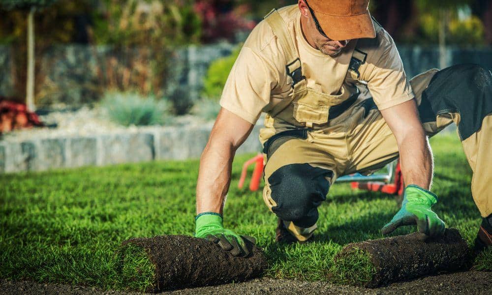 Landscaping Services Insurance Alabama
