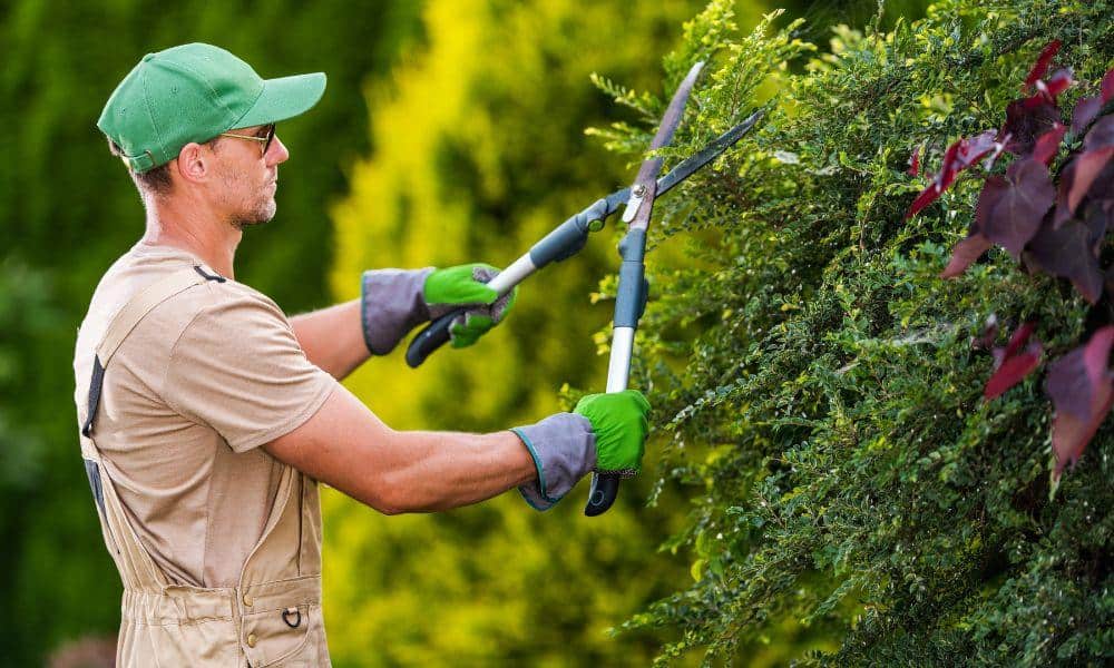 Lawn Care Insurance in Colorado