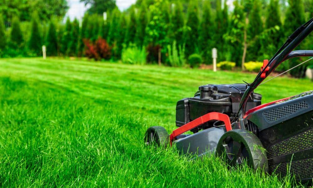 Lawn Care Insurance in Michigan