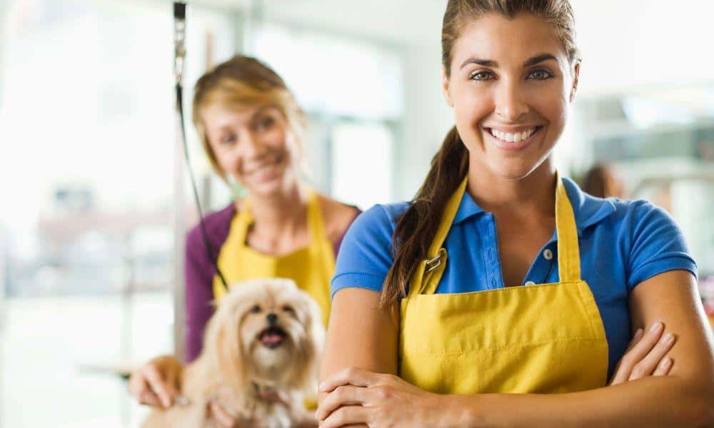 Pet Care Business Insurance