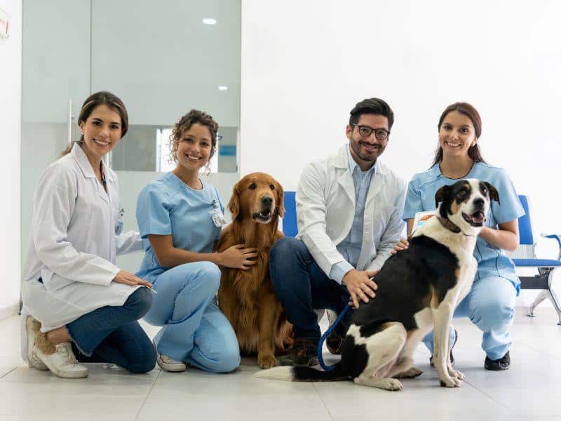 Veterinary clinic insurance agency