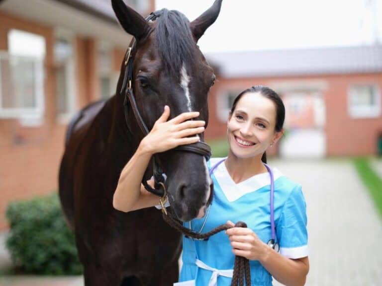 Veterinary malpractice insurance coverage