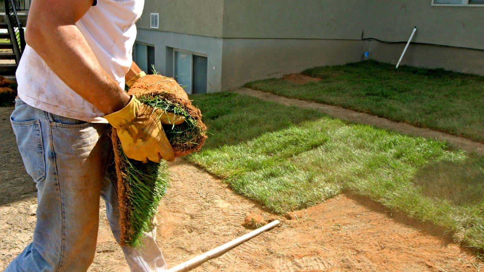 landscaper working on a new project in Charleston SC