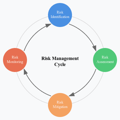 Risk Management Cycle